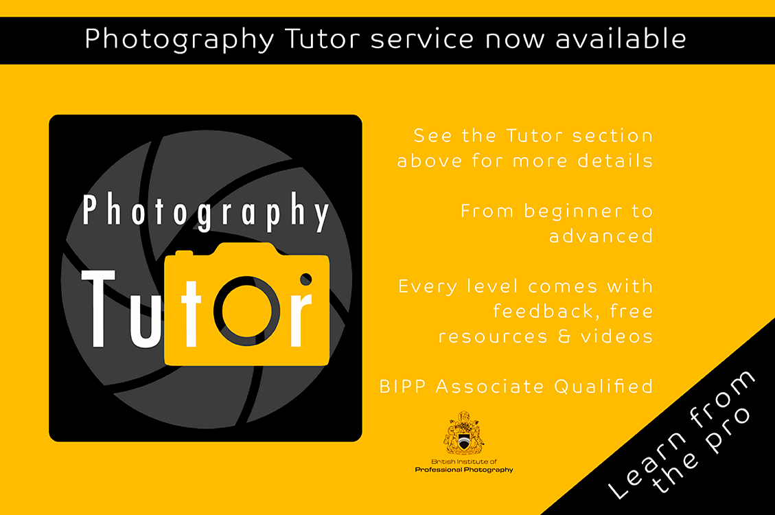 online photography tutor