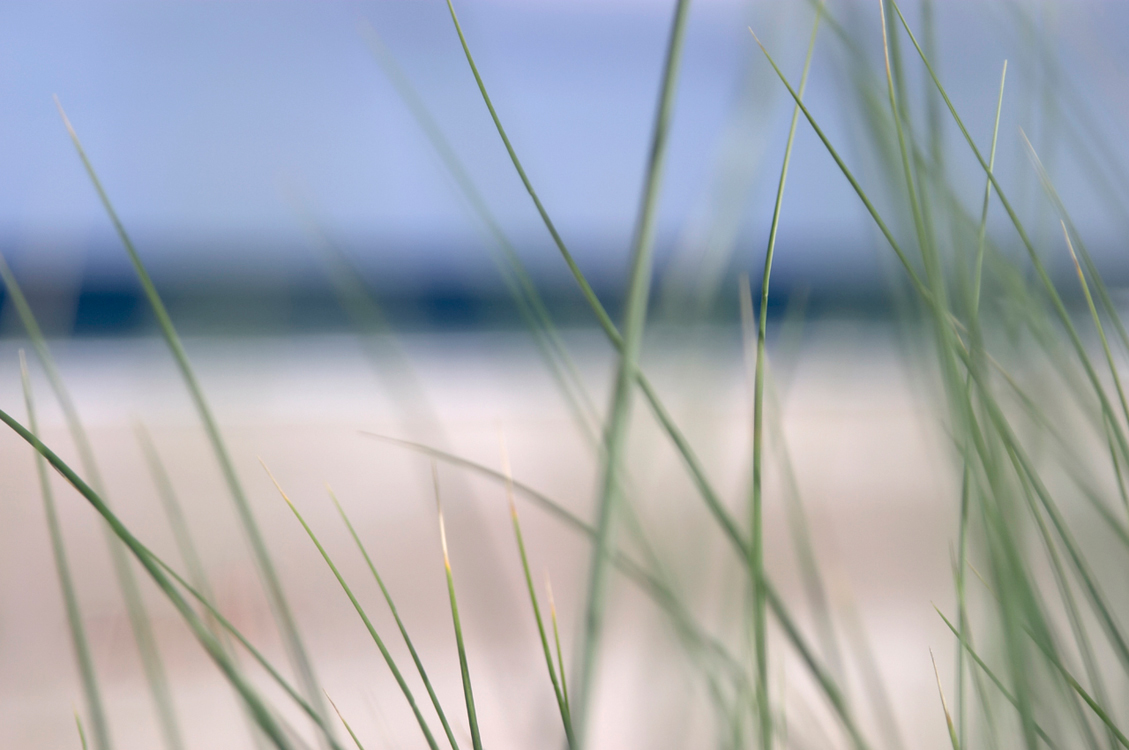 beach location photographer